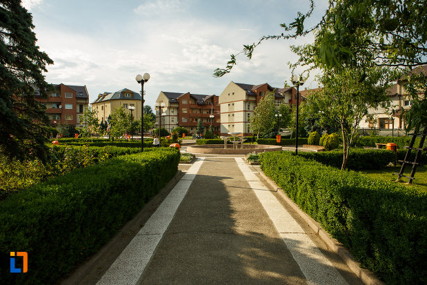 alee-din-orasul-odobesti-judetul-vrancea.jpg