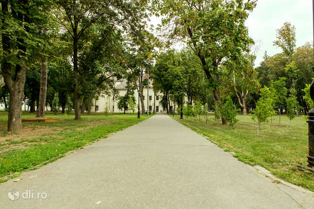 alee-din-parc-spre-castelul-karolyi-din-carei.jpg
