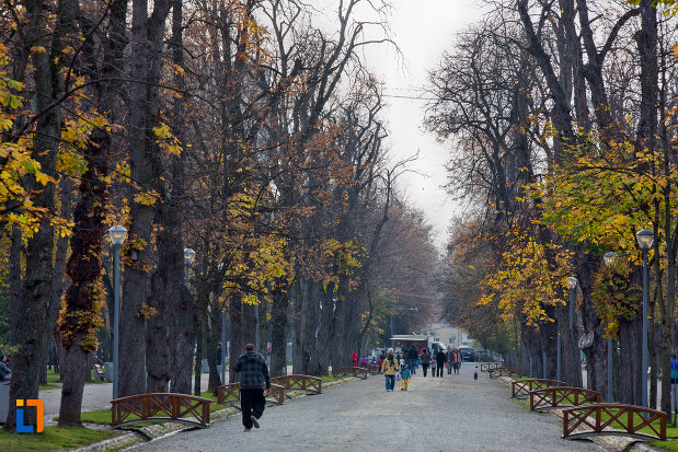 alee-din-parcul-central-simion-barnitiu-din-cluj-napoca-judetul-cluj.jpg