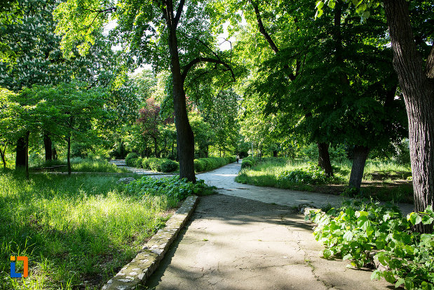 alee-din-parcul-general-dragalina-din-drobeta-turnu-severin-judetul-mehedinti.jpg