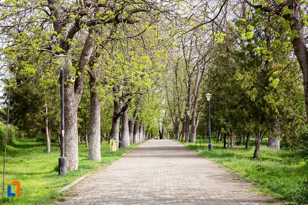 alee-din-parcul-municipal-din-aiud-judetul-alba.jpg