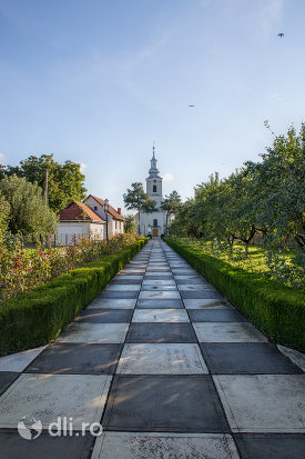alee-spre-biserica-greco-catolica-acoperamantul-maicii-domnului-din-livada-satu-mare.jpg