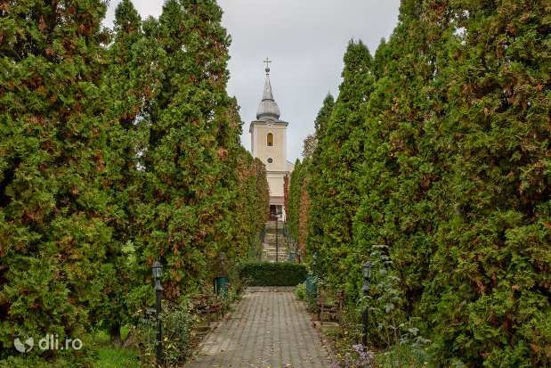 alee-spre-biserica-ortodoxa-sfintii-arhangheli-mihail-si-gavril-din-salajeni-judetul-salaj.jpg