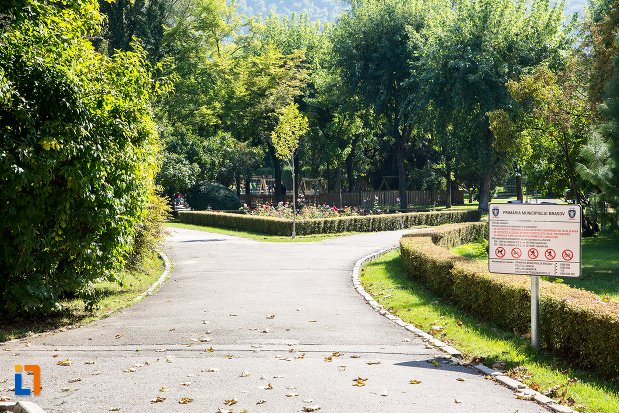 alei-si-arbusti-din-parcul-nicolae-titulescu-din-brasov-judetul-brasov.jpg