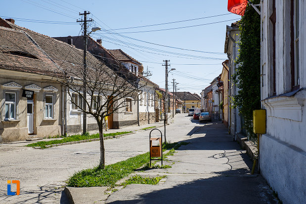 ansamblul-urban-str-viilor-din-orastie-judetul-hunedoara.jpg