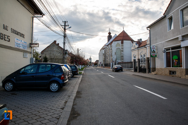 biserica-romano-catolica-sf-bartolomeu-din-sebes-judetul-alba-vazuta-din-departare.jpg