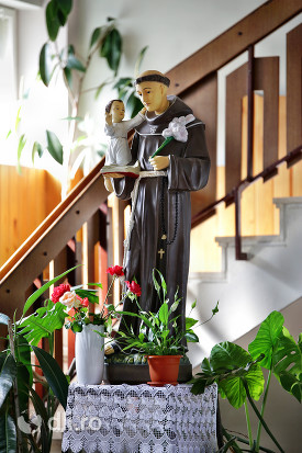biserica-romano-catolica-sfantul-duh-din-satu-mare-statueta.jpg