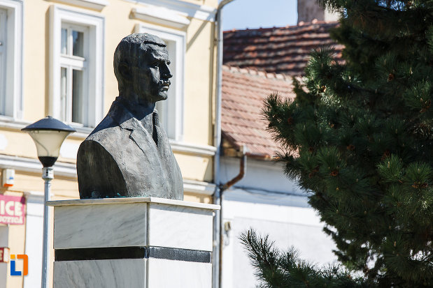 bustul-lui-aurel-vlaicu-din-orastie-judetul-hunedoara-imagine-cu-partea-de-sus.jpg