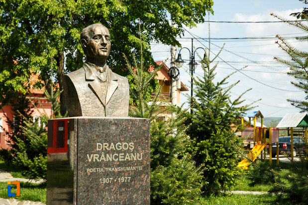 bustul-lui-dragos-vranceanu-din-babeni-judetul-valcea-in-prim-plan.jpg