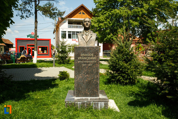 bustul-lui-dragos-vranceanu-din-babeni-judetul-valcea.jpg