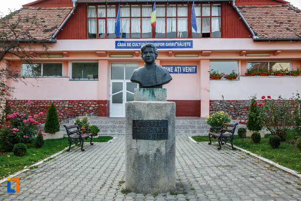 bustul-lui-george-topirceanu-din-saliste-judetul-sibiu.jpg