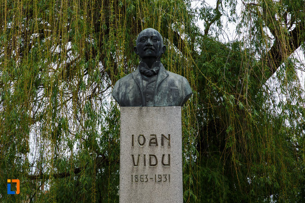 bustul-lui-ioan-vidu-din-lugoj-judetul-timis-in-prim-plan.jpg