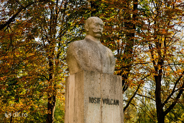 bustul-lui-iosif-vulcan-din-oradea-judetul-bihor-vazut-din-lateral.jpg