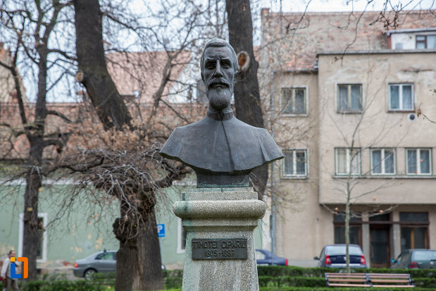 bustul-lui-timotei-cipariu-grupul-statuar-din-parcul-astra-din-sibiu-judetul-sibiu.jpg