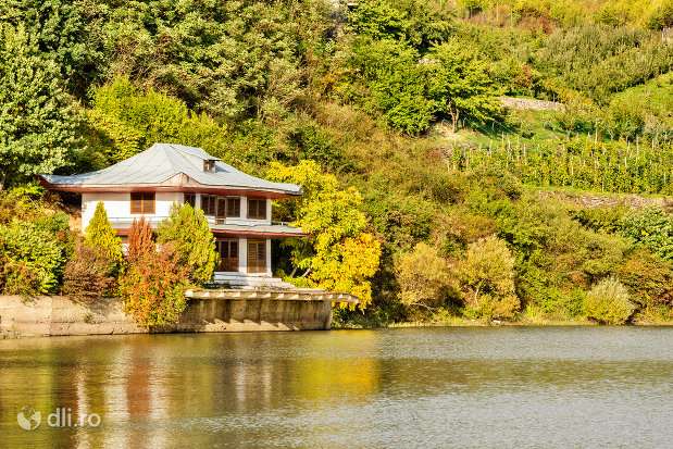 cabana-langa-lacul-din-calinesti-oas-judetul-satu-mare.jpg