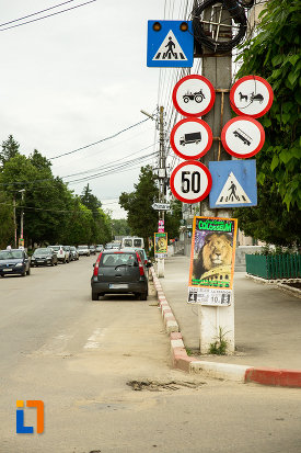 cam26520.jpg