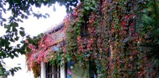 Ce e de văzut în Miercurea Ciuc