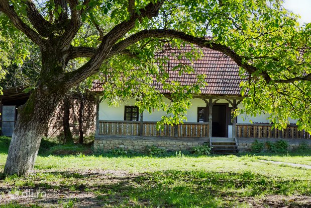 casa-si-curte-din-cadrul-muzeului-satului-osenesc-din-negresti-oas-judetul-satu-mare.jpg