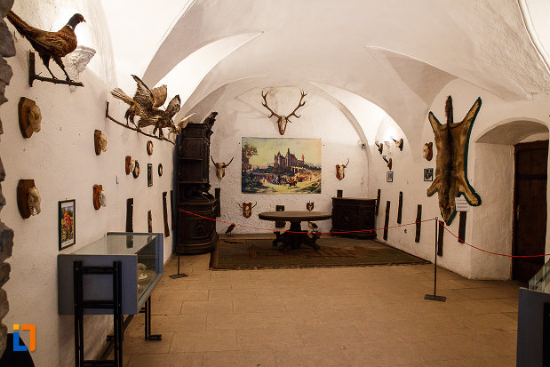 castelul-corvinilor-azi-muzeu-din-hunedoara-judetul-hunedoara-camera-cu-animale-impaiate-si-alte-trofee-de-vanatoare.jpg