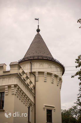 castelul-karolyi-din-carei-varful-unui-turn.jpg
