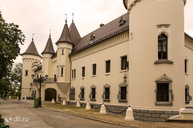 castelul-karolyi-din-carei-vedere-dintr-o-parte.jpg