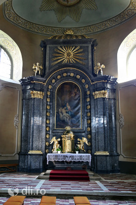catedrala-romano-catolica-dieceza-de-satu-mare-altar.jpg
