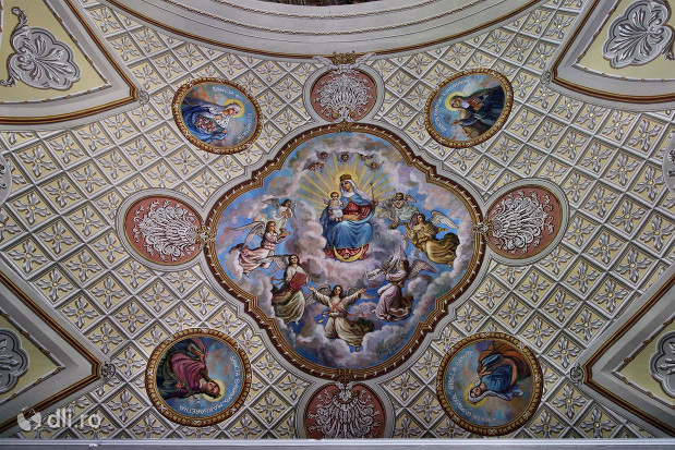 catedrala-romano-catolica-dieceza-de-satu-mare-tavanul-bisericii.jpg