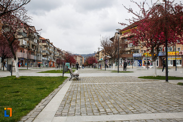 centrul-istoric-din-petrosani-judetul-hunedoara-zona-pavata-pentru-pietoni.jpg