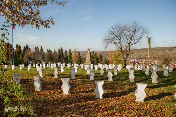 cimitirul-eroilor-din-zalau-judetul-salaj-privit-din-spate.jpg