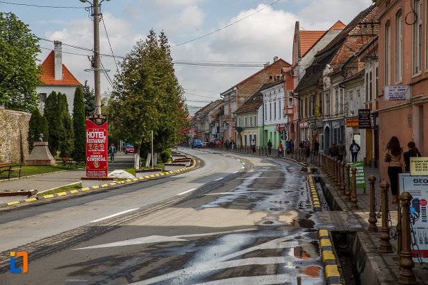 cladiri-istorice-din-ansamblul-urban-b-dul-lucian-blaga-din-sebes-judetul-alba.jpg