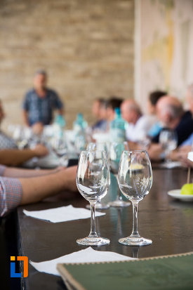 comisie-de-degustare-vinuri-crama-muzeu-murfatlar-judetul-constanta.jpg