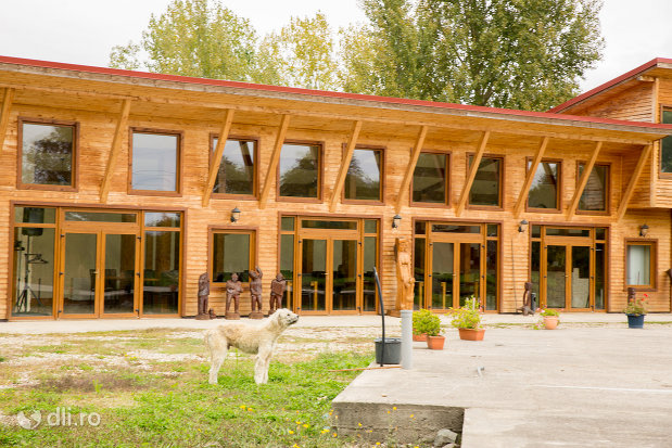 complexul-lacul-junior-din-valea-vinului-judetul-satu-mare.jpg