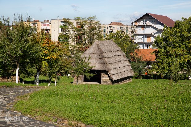 constructie-din-lemn-muzeul-satului-osenesc-din-negresti-oas-judetul-satu-mare.jpg