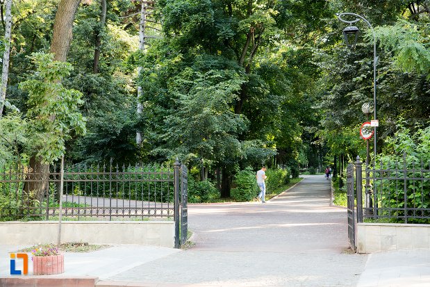 copaci-din-parcul-mihai-eminescu-din-botosani-judetul-botosani.jpg