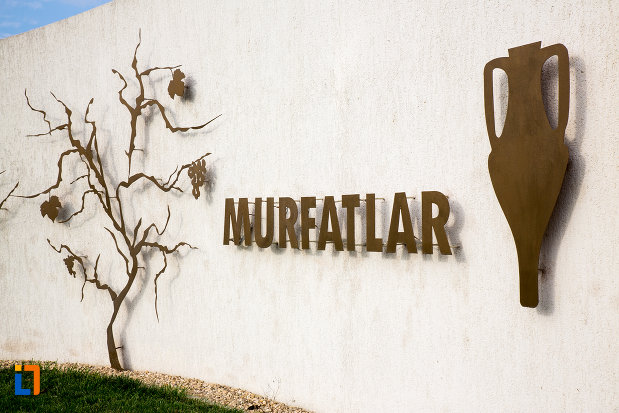 crama-muzeu-murfatlar-judetul-constanta.jpg