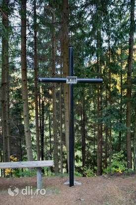 crucea-xiii-capela-catolica-din-cavnic-judetul-maramures.jpg