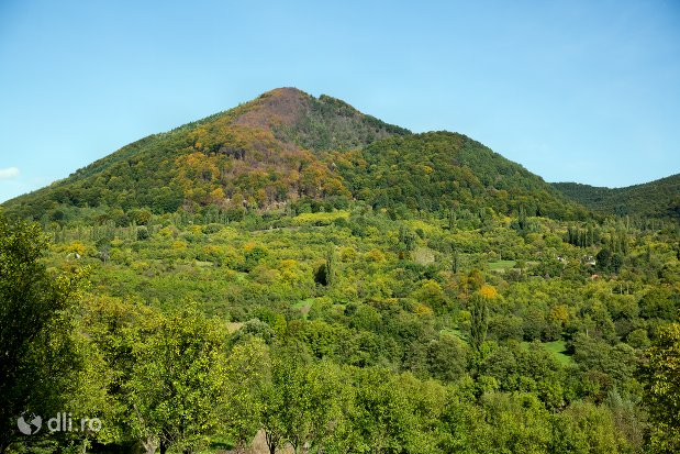 deal-din-rezervatia-naturala-tinoavele-din-camarzana-judetul-satu-mare.jpg