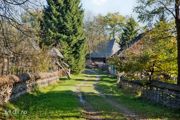 drum-de-tara-din-muzeul-satului-din-sighetu-marmatiei-judetul-maramures.jpg