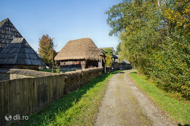 drum-din-cadrul-muzeului-satului-din-sighetu-marmatiei-judetul-maramures.jpg