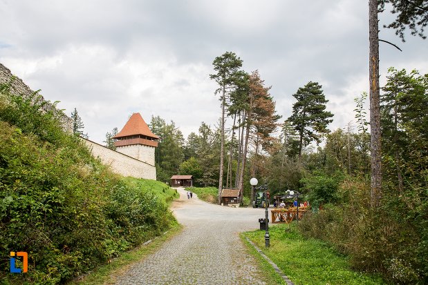 drum-pietruit-spre-cetatea-rasnov-judetul-brasov.jpg