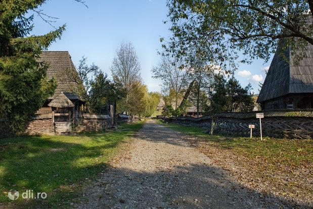 drumul-din-muzeul-satului-din-sighetu-marmatiei-judetul-maramures.jpg