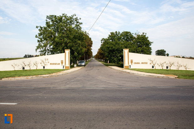 drumul-spre-crama-muzeu-murfatlar-judetul-constanta.jpg