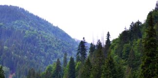 Voina, ținutul de ținut minte