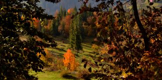 Pe urmele moților din țara de piatră