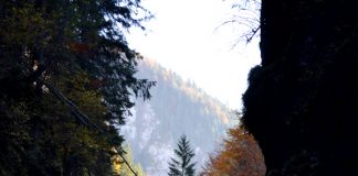 Cheile Ordâncușii, șarpele din Apuseni