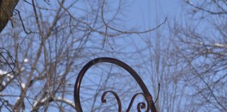 Parcul Romanescu – feerie înghețată