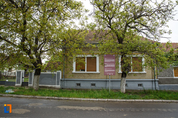 expozitia-de-arta-populara-iulia-folea-troceanu-buzias-judetul-timis.jpg
