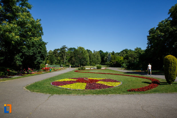 flori-aflate-in-parcul-botanic-din-timisoara-judetul-timis.jpg