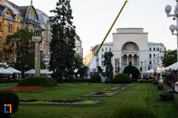 fotografie-cu-piata-victoriei-din-timisoara-judetul-timis.jpg