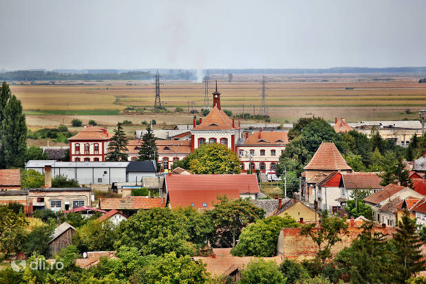 gara-cfr-carei-judetul-satu-mare-vazuta-de-la-departare.jpg